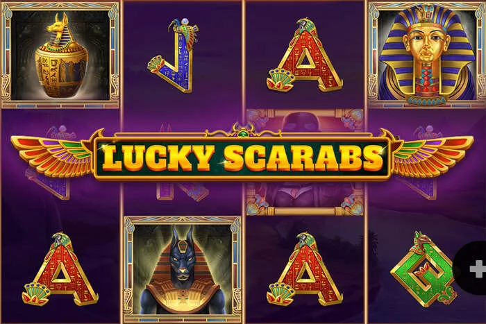 Big win celebration at BB Banglabet Live Casino & Betting.