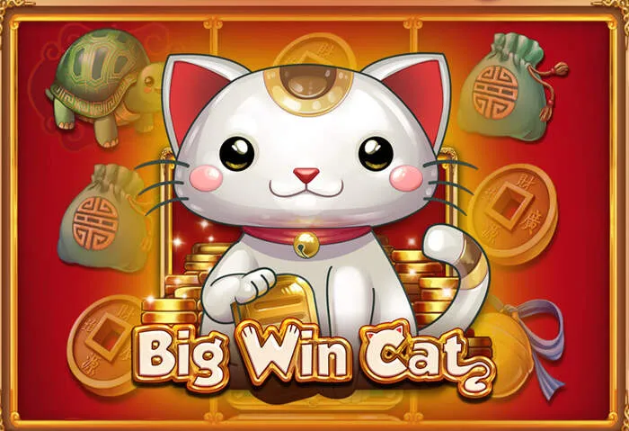 Winning with Banglabet Free Spins Review.